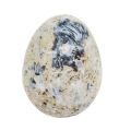 Floristik24 Viiriäisen munat valkoiset marmoroidut 3,5cm - 4cm 50kpl