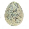 Floristik24 Viiriäisen munalajitelma vihreä, luonto 3cm 62kpl