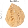 Saksanpähkinät koristeluun, luonnontuote, 3-4 cm, 300 g | Floristik24.fi