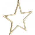 Floristik24 Joulukoristeen tähti, Adventtikoristeet, tähtiriipus Kultainen B24,5cm