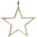 Floristik24 Joulukoristeen tähti, Adventtikoristeet, tähtiriipus Kultainen B24,5cm