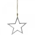 Floristik24 Joulukoristeen tähti, adventtikoristeet, tähtiriipus hopea L24,5cm