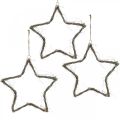 Floristik24 Joulukoristeen tähti valkoiset pestyt tähdet ripustettavaksi jalava 30cm 4kpl