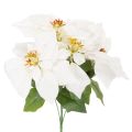 Floristik24 Keinotekoinen joulutähti, valkoinen, suuret kukat, koristekasvi, 40 cm