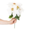 Keinotekoinen joulutähti, valkoinen, suuret kukat, koristekasvi, 40 cm | Floristik24.fi