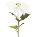 Keinotekoinen valkoinen joulutähti, suuri kukkiva oksakoriste, 65 cm, 2 kpl | Floristik24.fi