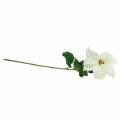 Joulutähti tekokukka valkoinen 67cm | Floristik24.fi