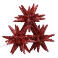 Floristik24 Joulutähti joulukoristeet punainen glitter Ø7cm 6kpl
