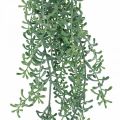 Floristik24 Vihreä kasvi riippuva keinotekoinen riippuva kasvi silmuilla vihreä, valkoinen 100cm