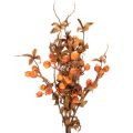 Keinotekoinen orapihlajan oksa, syyskoriste, 75cm | Floristik24.fi