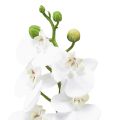 Floristik24 Valkoinen keinotekoinen orkidea Phalaenopsis Real Touch 32cm