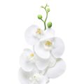 Floristik24 Valkoinen keinotekoinen orkidea Phalaenopsis Real Touch 85cm