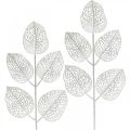 Floristik24 Talvikoristeet, koristelehdet, tekooksa valkoinen glitter L36cm 10p
