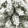 Talvikoristeita joulukuusi vihreä valkoinen Ø7cm K14cm 4kpl | Floristik24.fi