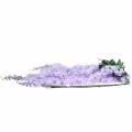 Floristik24 Garland wisteria lila 175cm 2kpl