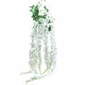 Floristik24 Garland wisteria valkoinen 175cm 2kpl