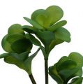 Floristik24 Keinotekoiset kasvit autiokaali vihreä 25cm 3kpl