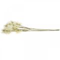 Floristik24 Xanthium tekokukkavoide syksyn koristelu 6 kukkaa 80cm 3kpl