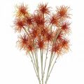 Floristik24 Xanthium tekokukka syksyn koriste oranssi 6 kukkaa 80cm 3kpl