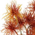 Floristik24 Xanthium tekokukka syksyn koriste oranssi 6 kukkaa 80cm 3kpl