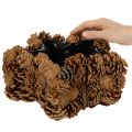 Männynkäpyruukku, tähden muotoinen, 30 cm | Floristik24.fi