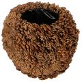 Floristik24 Koristeellinen istutusruukku käpyillä, luonnollinen ulkonäkö, 27 cm. Pyöreä käpyruukku, luonnonruskea, tehty kävyistä, 27 cm x 22 cm.