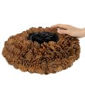 Pyöreä käpyruukku istutusastiaksi, 38 cm; pyöreä käpyruukku, luonnonruskea, tehty kävyistä, 38 cm x 14 cm | Floristik24.fi