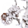 Floristik24 Jouluoksa koristeellinen oksa kartiooksa lumipeitteinen 72cm
