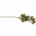 Floristik24 Cone Branch Green 33cm Keinotekoinen kasvi kuin aito!