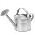 Floristik24 Vintage sinkkikastelukannu, 27 cm - puutarha- ja terassiruukku, metallinen kukkaruukku