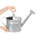 Vintage sinkkikastelukannu, 27 cm - puutarha- ja terassiruukku, metallinen kukkaruukku | Floristik24.fi