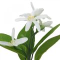 Deco-oksa sitruuna ja kukat tekooksa kesäkoristelu 26cm 4kpl | Floristik24.fi