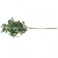 Floristik24 Salvia tekokasveja salvialehtiä kukkakoristeita salviakoristeita 68cm 2kpl