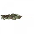 Floristik24 Keinotekoinen kasvi deco-oksa vihreä punaruskea vaahto H68cm