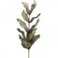 Floristik24 Keinotekoinen kasvi deco-oksa vihreä punaruskea vaahto H68cm