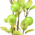 Floristik24 Keinotekoinen koristeellinen omenan oksanvihreä 80cm