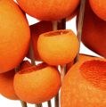 Floristik24 Bell Cup Mix tikussa Oranssi 15kpl