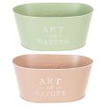 Soikea sinkkikulho, 27 x 18 cm, korkeus 12,5 cm, useita värejä | Floristik24.fi