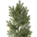 Floristik24 Keinotekoinen kuusenoksaseppele luovaan kukkakauppaan, 175 cm