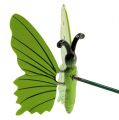 Floristik24 Perhonen kepissä 17cm vihreä