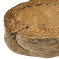 Kookosruukku, luonnonvärinen, 20 cm, 5 kpl | Floristik24.fi