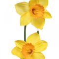 Floristik24 Keinotekoiset narsissit Silk Flowers Keltainen 2 kukkaa 61cm