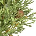 Pieni tekokuusesteeppeli, vihreä käpyillä, Ø24cm, joulu | Floristik24.fi