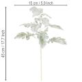 Keinotekoinen Senecio-oksa (ragwort), monimutkaisesti muotoiltu, 45 cm, 3 kpl | Floristik24.fi