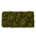 Floristik24 Keinotekoinen Moss Suuri sammalmatto Ruskea Vihreä 100×50cm