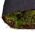 Keinotekoinen Moss Suuri sammalmatto Ruskea Vihreä 100×50cm | Floristik24.fi