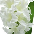 Floristik24 Silkkikukat hyasintti valkoinen 33cm