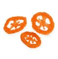 Floristik24 Loofah Slices Orange 25 kpl