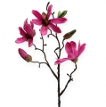Floristik24 Magnolia-oksa vaaleanpunainen 45cm 4kpl