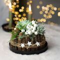 Metallitarjotin pyöreä kynttilänjalka musta Ø20cm K2,5cm 2kpl | Floristik24.fi